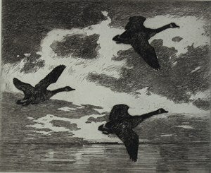 Image description is not available for DU1946.246